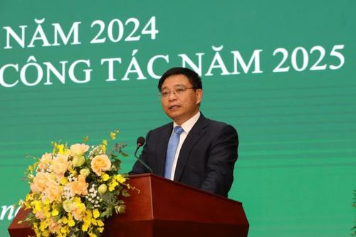 Quy mô cả 3 sàn HOSE, HNX và UPCoM tăng mạnh trong năm 2024