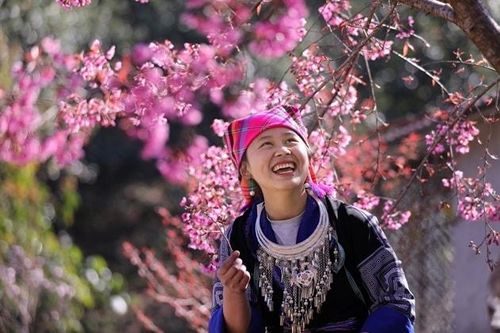 Sắp diễn ra Festival khèn Mông và Lễ hội hoa Tớ Dày ở Yên Bái
