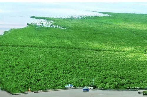 Hai tỉnh nào từng sáp nhập thành Minh Hải?