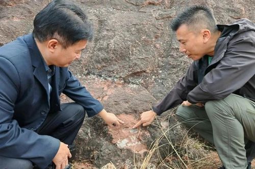 Du khách bất ngờ phát hiện ổ trứng khủng long hóa thạch trong công viên