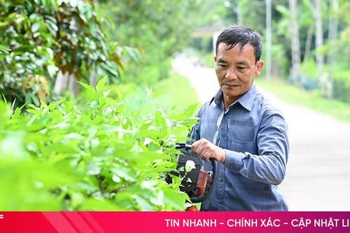Giảm nghèo, nâng cao thu nhập để xây dựng nông thôn mới ở Hương Khê