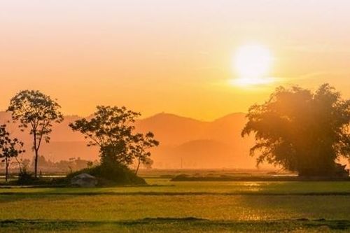 Cuối năm, thơ chợt hiện