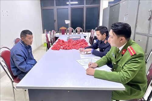 Ra quân trấn áp tội phạm, bắt giữ nhiều đối tượng phạm pháp hình sự