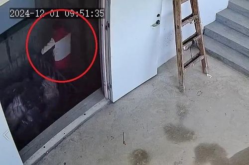 Thang máy đột ngột lao xuống đất khi người đàn ông vừa bước vào