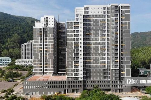 Người không sinh sống, làm việc tại Bình Định không được xét duyệt mua nhà ở xã hội