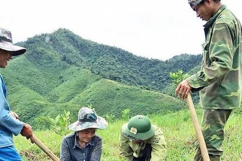 Tăng tốc chi trả nguồn giảm phát thải khí nhà kính, tạo động lực thúc đẩy tăng trưởng giá trị ' kinh tế rừng'