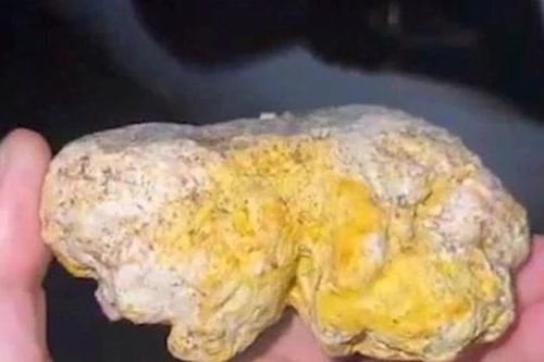 Người đàn ông nhặt được bãi nôn đáng sợ của cá voi, tưởng phế phẩm ai ngờ cả thứ quý hơn cả vàng