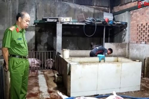 Bắt quả tang điểm giết mổ heo trái phép tại Định Quán