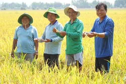 Bảo vệ môi trường góp phần phát triển kinh tế - xã hội bền vững