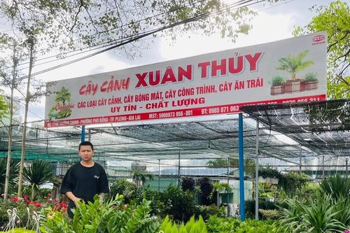 Khởi động thị trường cây cảnh phục vụ Tết nguyên đán
