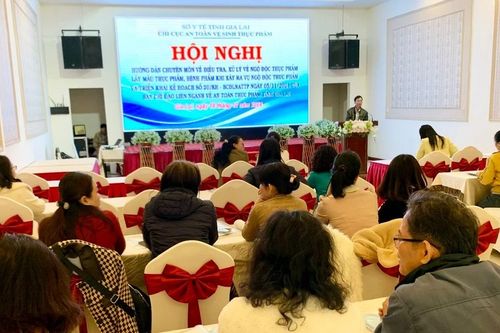 Gia Lai: Hướng dẫn chuyên môn về điều tra, xử lý vụ ngộ độc thực phẩm