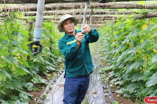 Hỗ trợ các hợp tác xã hoạt động hiệu quả