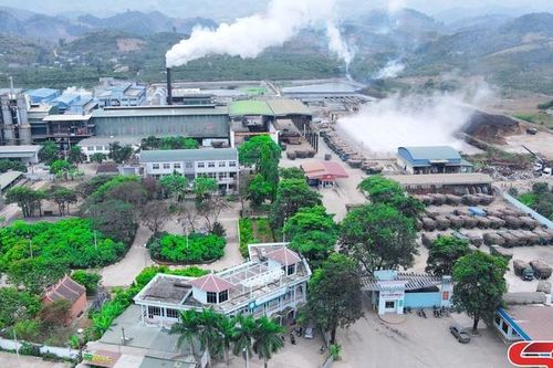 Nhộn nhịp vào vụ sản xuất mía đường