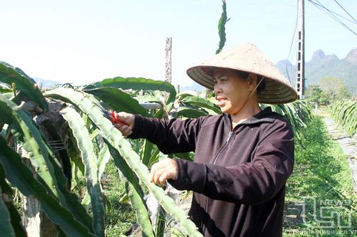Thúc đẩy sản xuất nông nghiệp vùng cao