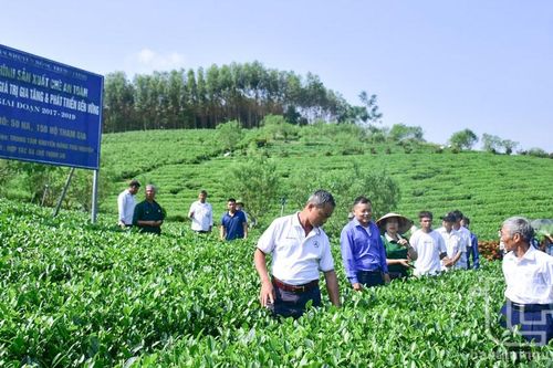 Đội ngũ trí thức khoa học góp sức xây dựng nông thôn mới