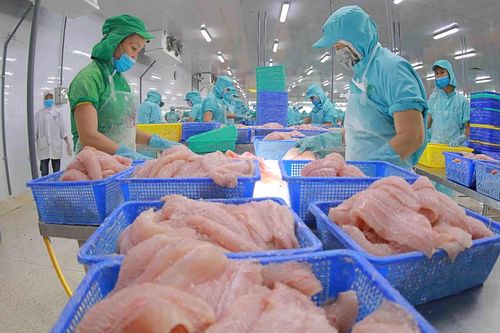 Thị trường Mỹ tăng tốc, lợi nhuận năm nay của Thủy sản Vĩnh Hoàn (VHC) dự báo tăng 21%