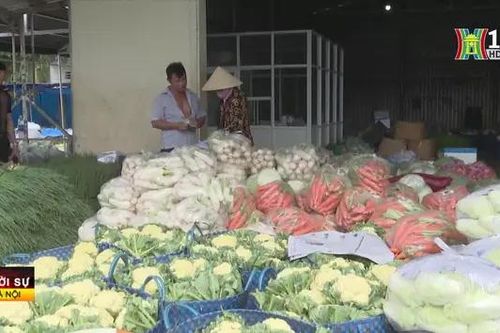 Hà Nội sẵn sàng nguồn cung nông sản phục vụ Tết