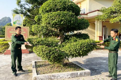 Điểm sáng xây dựng doanh trại chính quy, sáng, xanh, sạch, đẹp