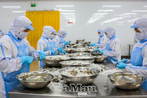 Quan hệ lao động hài hòa nhờ đối thoại