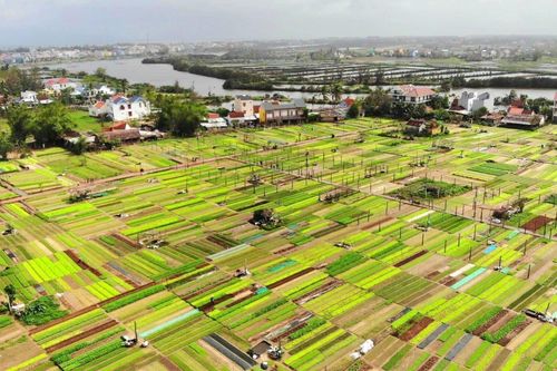 Những trải nghiệm tuyệt vời ở Trà Quế - làng du lịch tốt nhất thế giới