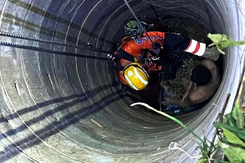 Nghe thấy âm thanh lạ từ giếng nước, mọi người sốc nặng khi nhìn xuống dưới