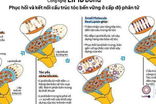 Sức mạnh khoa học công nghệ Lipid Bond của LABORIE derma giúp phục hồi tóc hư tổn chỉ với 1 lần sử dụng trong 8 phút