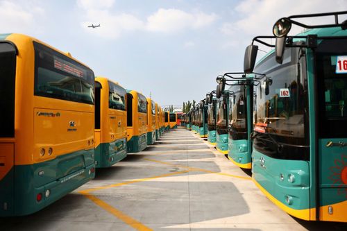 Cận cảnh hàng trăm xe buýt điện phục vụ tuyến metro số 1