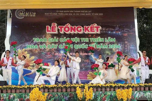 Trao giải các hội thi triển lãm hoa và cây cảnh quốc tế năm 2024 tại Đà Lạt
