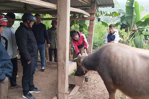Xây dựng nông thôn mới ở Điện Biên