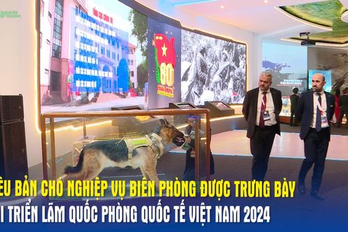 Tiêu bản chó nghiệp vụ Biên phòng được trưng bày tại Triển lãm Quốc phòng quốc tế Việt Nam 2024