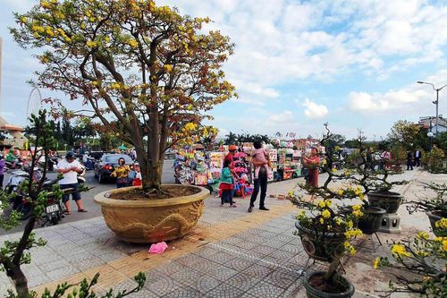 Đà Nẵng tổ chức chợ hoa Tết Ất Tỵ 2025 trong 10 ngày