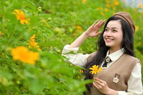 Giới trẻ Hà Nội nô nức check-in vườn dã quỳ ngay tại thủ đô