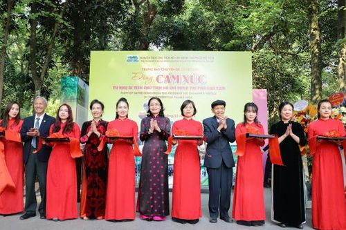 Triển lãm 'Dòng cảm xúc': Hành trình tôn vinh Di sản Hồ Chí Minh