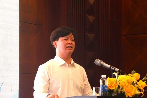 Thảo luận, đánh giá việc xử lý kết quả rà soát văn bản QPPL thực hiện từ năm 2020 đến nay