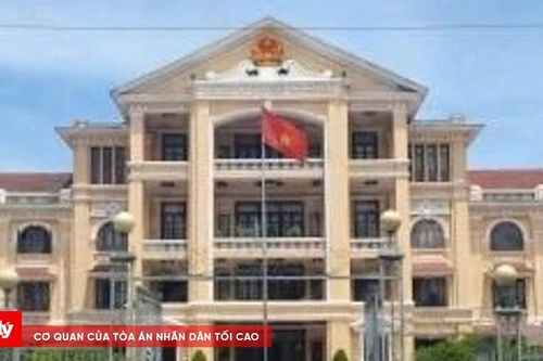 Tòa án bác đơn khởi kiện yêu cầu hủy quyết định cưỡng chế của Chủ tịch UBND tỉnh TT-Huế