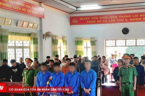 Mua bán, sử dụng trái phép chất ma túy, nhóm trai làng lĩnh án