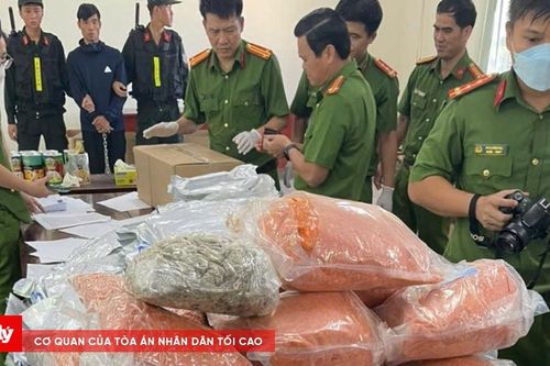 Thu giữ nhiều súng, đạn tại nơi ở của 'người vận chuyển' ma túy