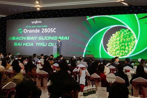 Syngenta Việt Nam giới thiệu sản phẩm kiểm soát bệnh sương mai trên cây vải
