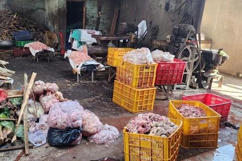 Phát hiện 1,3 tấn mỡ bò và tóp mỡ bò không rõ nguồn gốc xuất xứ