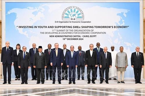 Azerbaijan chính thức gia nhập khối D-8