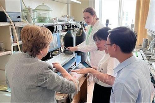 Triển vọng cho các giải pháp bảo quản thực phẩm bền vững, thân thiện môi trường