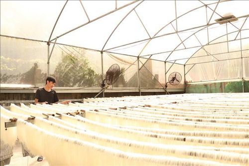 Làng miến Chi Lăng 'sáng đèn' chạy đơn hàng Tết