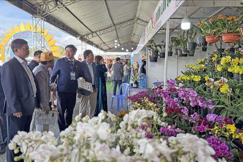 20.000 lượt khách chiêm ngưỡng vườn hoa Đà Lạt dịp Festival