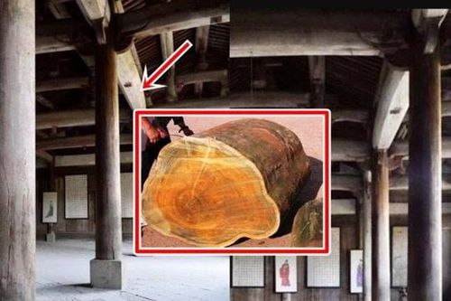 Ngôi chùa cổ sở hữu 4 chiếc cột gỗ quý hơn 'kim cương' giá 3.400 tỷ: Người người xếp hàng vào xem!