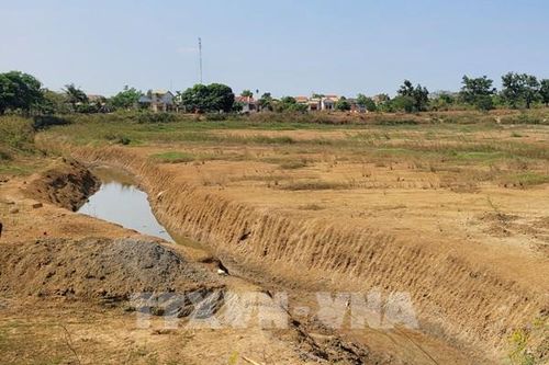 43% đất sản xuất nông nghiệp bị thoái hóa
