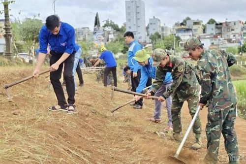 Bộ đội, thanh niên Gia Lai hối hả dọn dẹp vệ sinh, làm đẹp môi trường đón Tết Ất Tỵ 2025