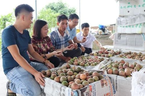 Để hàng Việt 'bám rễ' thị trường Hoa Kỳ