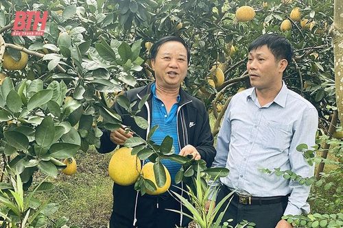 Những cựu chiến binh xông pha trong thời chiến, cống hiến giữa thời bình