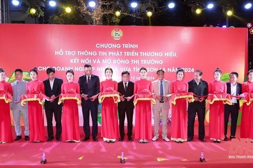 Hỗ trợ thông tin phát triển thương hiệu, kết nối và mở rộng thị trường cho doanh nghiệp nhỏ và vừa