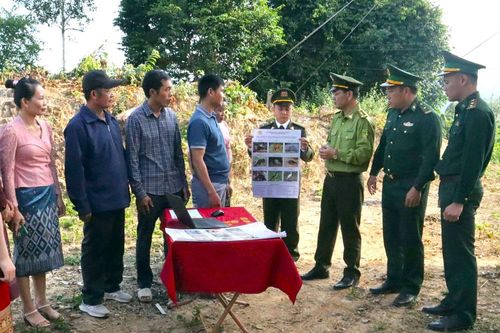 Bảo vệ rừng vùng giáp ranh